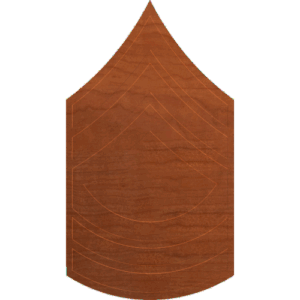 Army Rank Master Sergeant