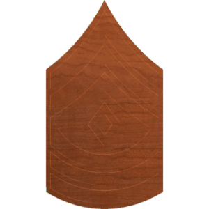 Army Rank First Sergeant