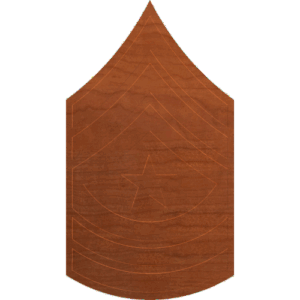Army Rank Sergeant Major