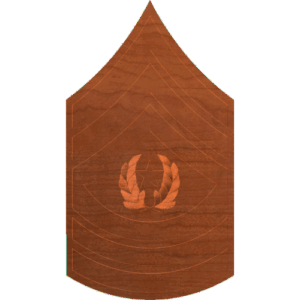 Army Rank Command Sergeant Major