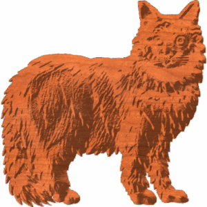 Coon Cat Pattern