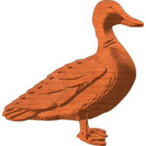 Duck 1 of 2