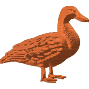 Duck 2 of 2