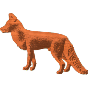Fox Pattern