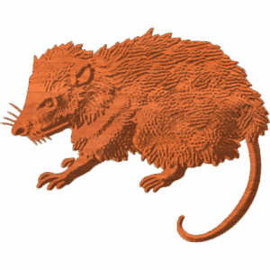 Opossum Pattern