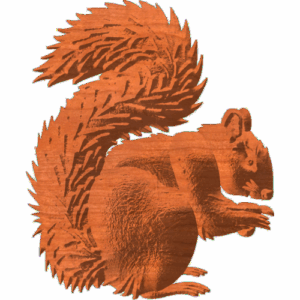 Squirrel Pattern
