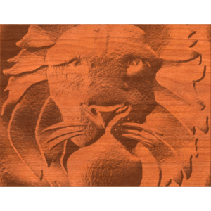 Lion Abstract Pattern