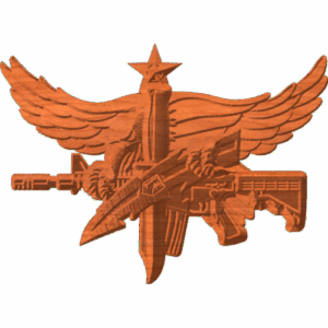 SWAT Senior Logo Pattern