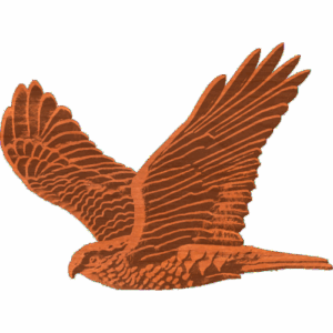 Soaring Hawk Pattern