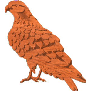 Hawk Standing Pattern