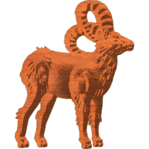 Bighorn Sheep