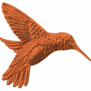 Hummingbird Pattern