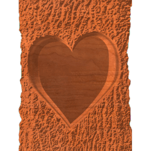 Tree Bark Heart