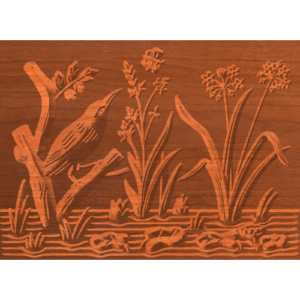 Swamp Series 0976