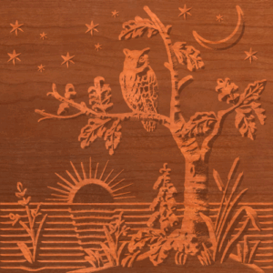 Swamp Series 0977