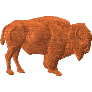 Buffalo Pattern
