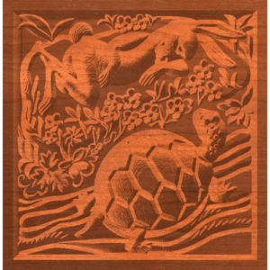 Tortoise And Hare Pattern