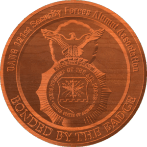 Air Force Security Forces Pattern