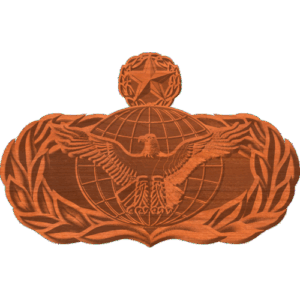 Security Forces Function Badge Master