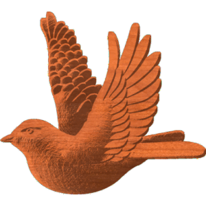 Robin In Flight Pattern