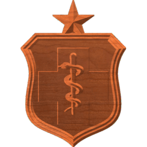 AF Medical Badge With Star Only