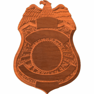 TSA Badge Pattern