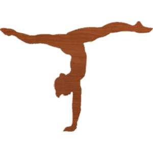 Gymnastics 01