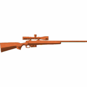 Modern Hunting Rifle