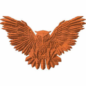 Hunting Owl