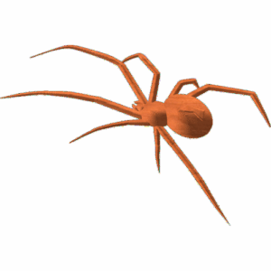 Blackwidow spider