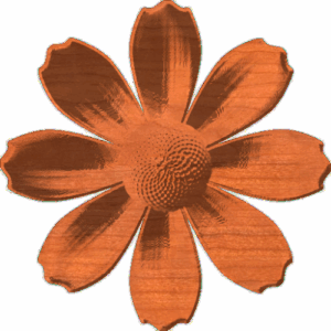 Daisy rosette