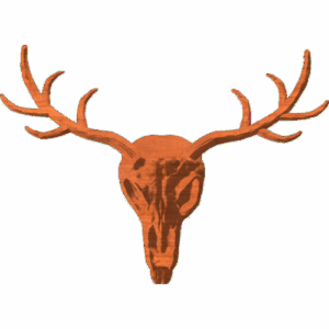 Jackalop skull