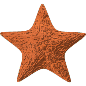 Sea star Starfish