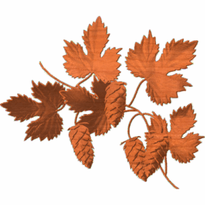 Hops and Vines