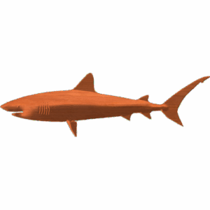 Fish-02