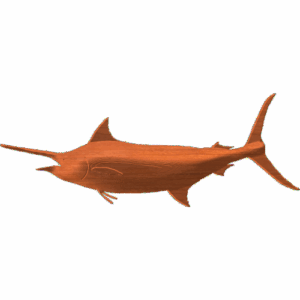 Fish-04