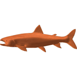 Fish-05
