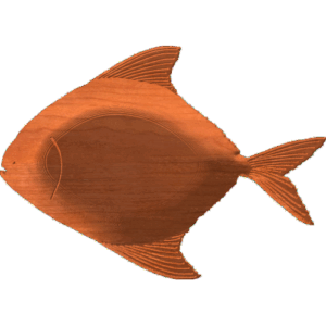 Fish-06