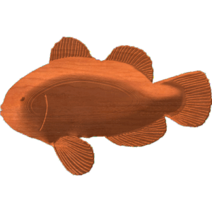 Fish-07