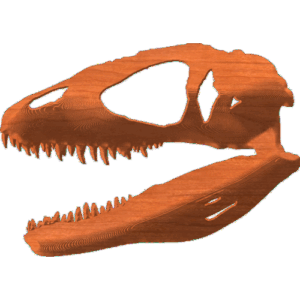 Raptor-03