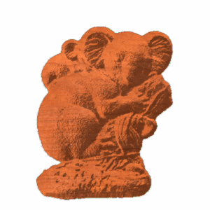 Koalas