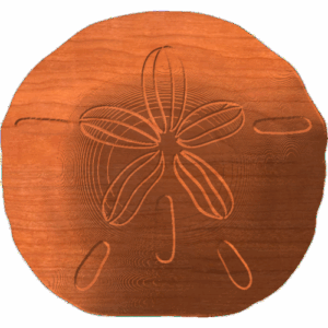 Sand Dollar-03