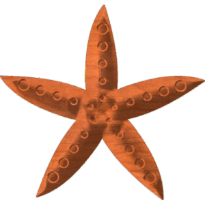 Starfish-01