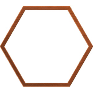 Polygon06