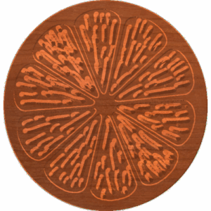 Citris Slice
