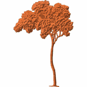 Tree-02