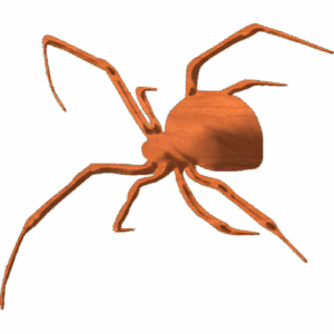 Spider-03