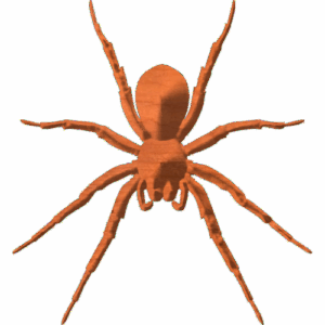 Spider-05