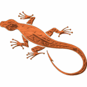 Gecko-02