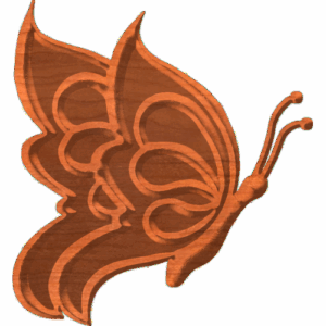 Butterfly-04